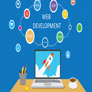 best web development company in noida,greater noida & delhi ncr